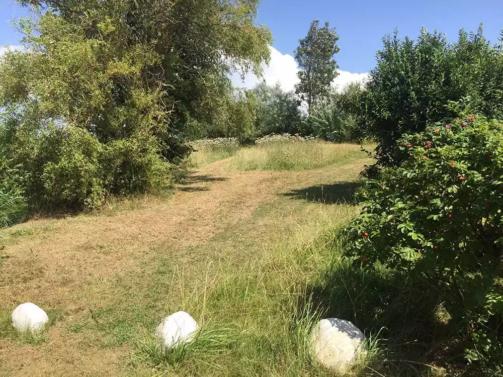 Großer Garten des Ferienhauses auf Pellworm mit weiten Wiesenflächen und ruhiger Atmosphäre