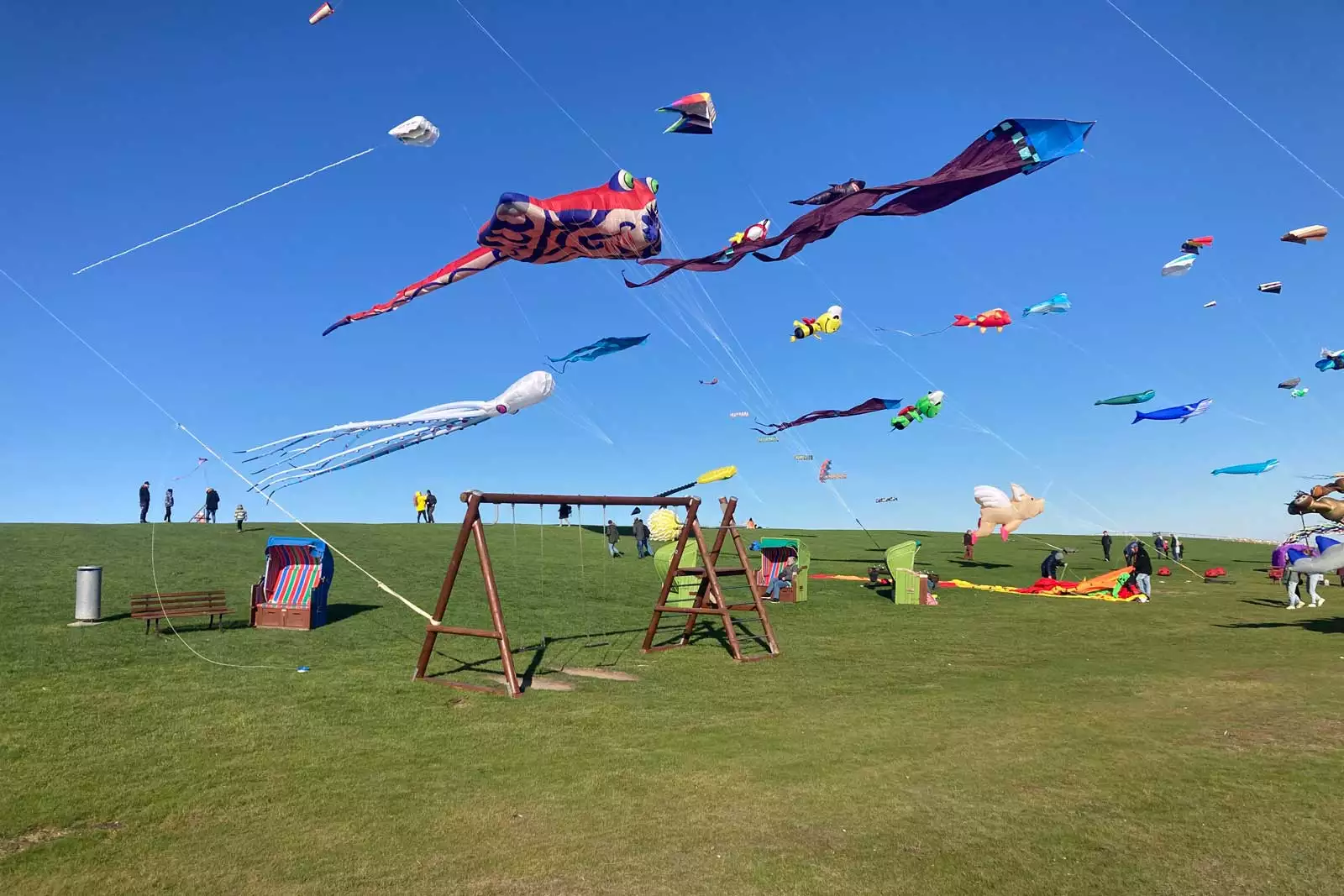 Grüner Leuchtturmdeich auf Pellworm mit Strandkörben, Schaukel und bunten Drachen beim Drachenfest