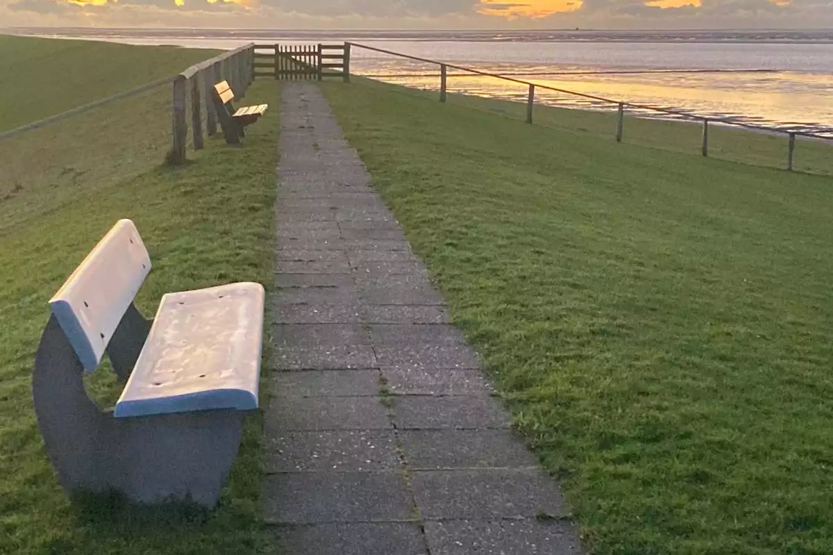 Pellworm - die Insel für bewusste Auszeiten: Bank oben auf dem Deich mit Blick über das Wattenmeer