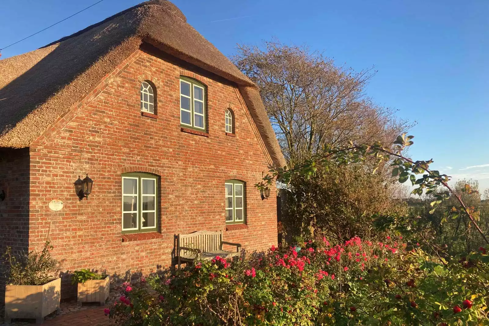 Ferienhaus auf der Warft mit herrlichem Bauerngarten