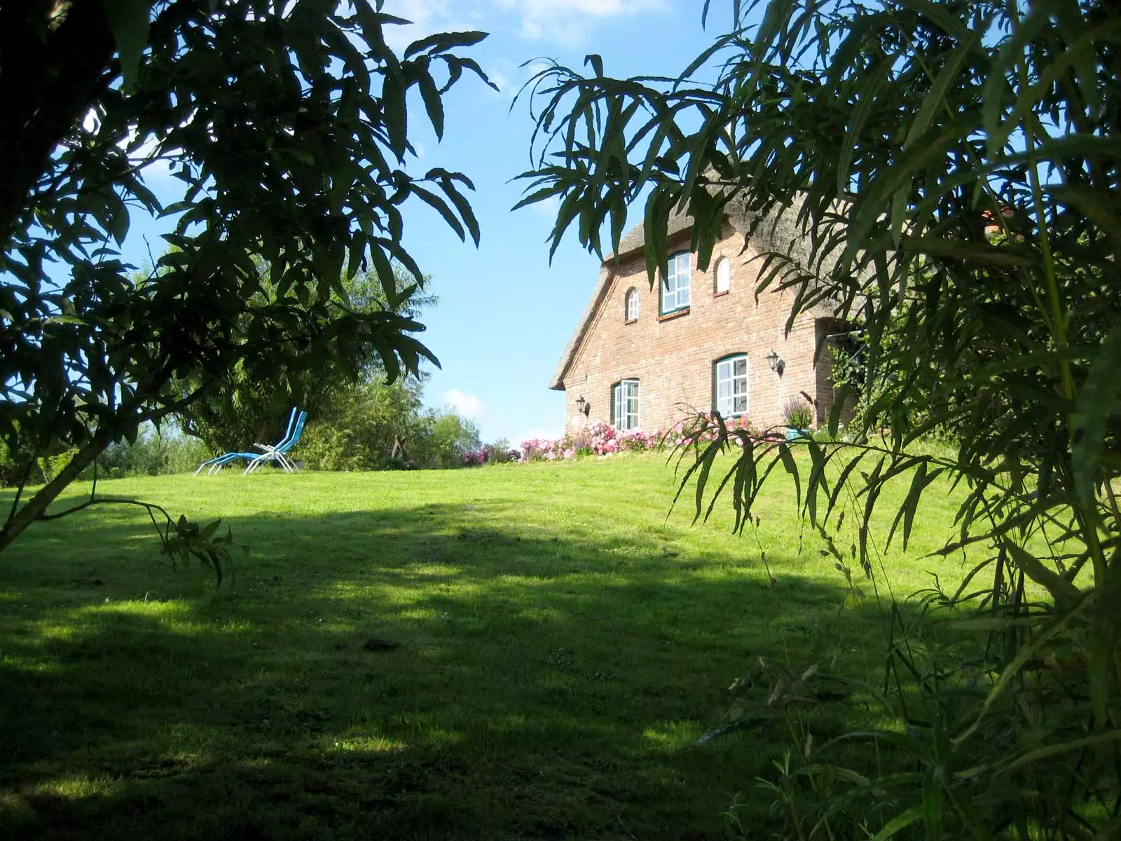 Ferienhaus Kiek in’t Land auf Pellworm in grüner Warftlage mit Reetdach, Rosen und blühendem Garten