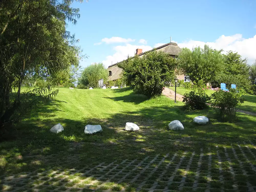 Blick vom Parkplatz hinauf zur Warft mit dem sonnigen Reetdach-Ferienhaus Kiek in’t Land auf Pellworm