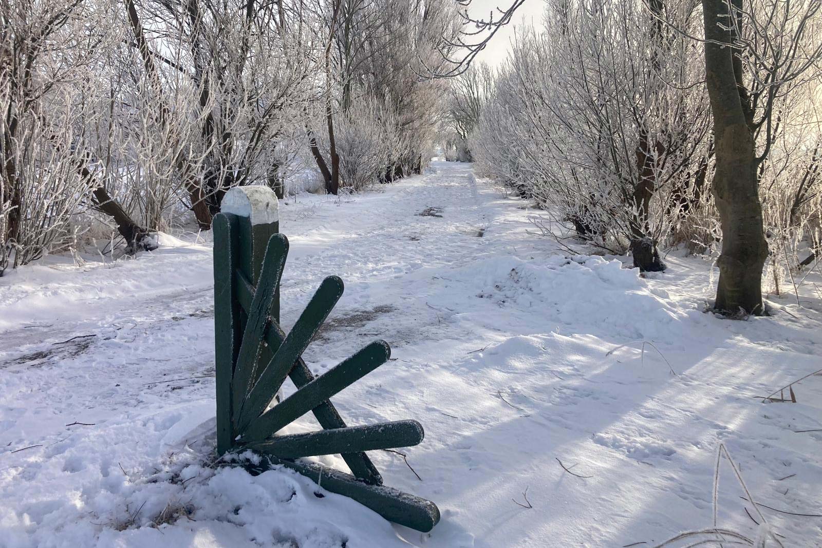 Weg zum Ferienhaus im Schnee Weg zum Ferienhaus im Schnee